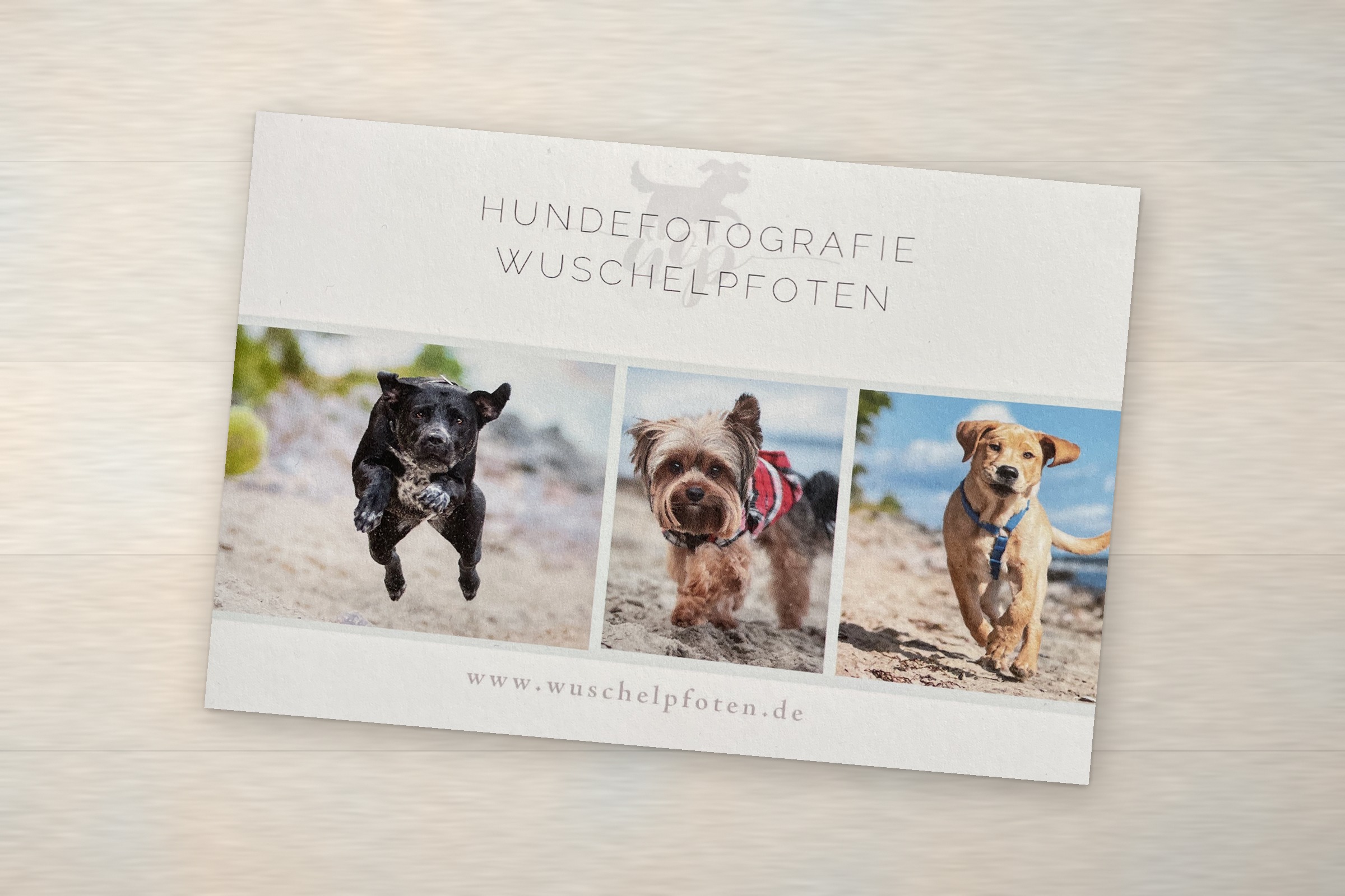 Gutschein Wuschelpfoten Hundefotografie